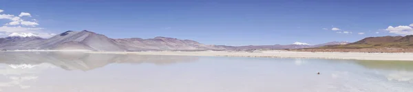 Le lac Miscanti et les Miniques Panorama de la nature panoramique — Photo