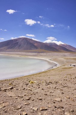 Miscanti Gölü ve Miniques volkan Panorama