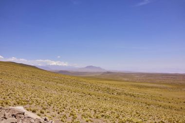 Atacama peyzaj sahne