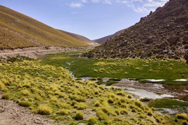 Atacama Peyzaj ve vadi manzarası
