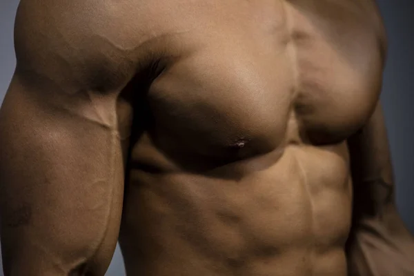 Torso Muscular de um Modelo de Fitness Close Up — Fotografia de Stock