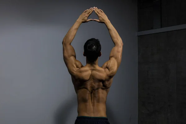 男性健身模型背部肌肉 — 图库照片
