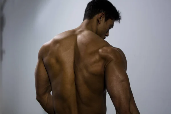 Мышцы спины фитнес-модели — стоковое фото
