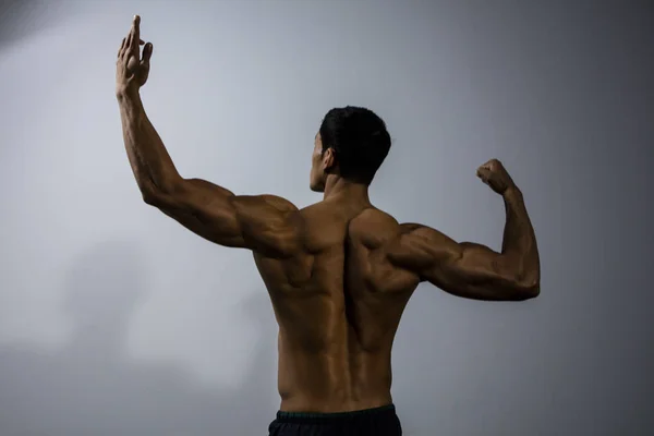 Músculos traseiros de um modelo de fitness — Fotografia de Stock
