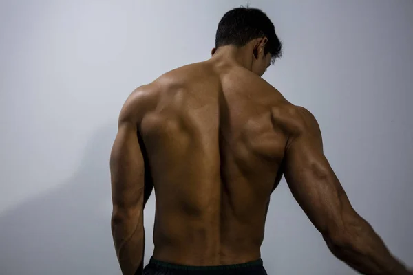 Espalda Músculos de un Modelo Fitness —  Fotos de Stock