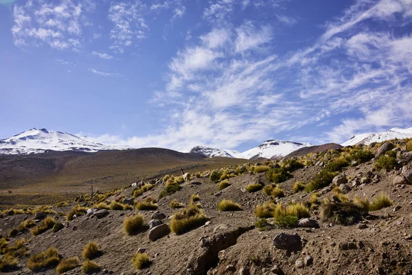 Terrain aride du désert d'Atacama et sommets des Andes enneigées — Photo