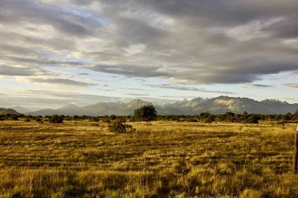 Altın çim alan ve mesafe Andes 