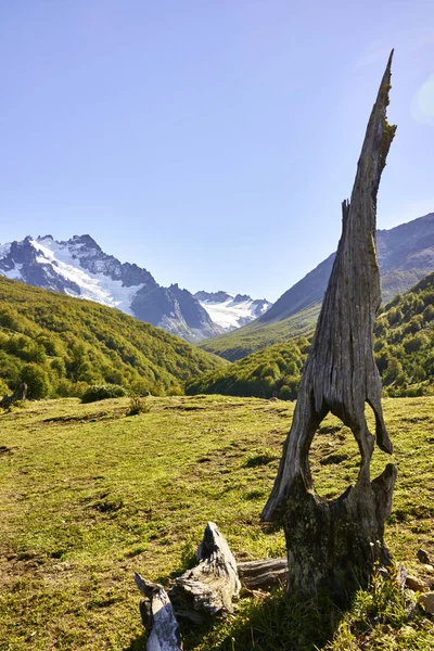 Parc national des Torres del Paine Montagnes et vie végétale — Photo