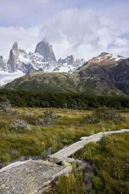 Bataklık ve Fitz Roy dağ Patagonya ' 
