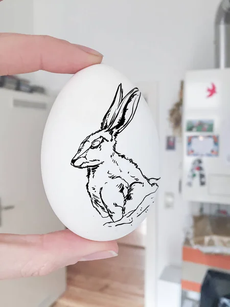 Schizzo di coniglio su uovo bianco — Foto Stock