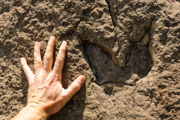 Erkekler eski bir dinozorun ayak izinin yanında