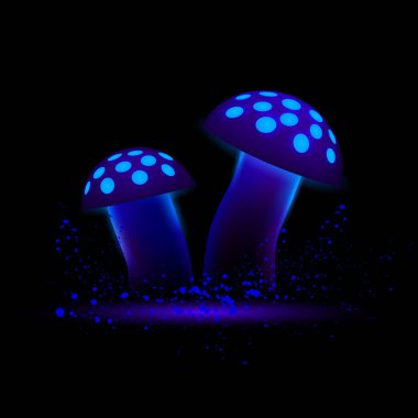 Mavi neon mantar. Siyah bir arka plan üzerinde parlayan sihirli agaric.