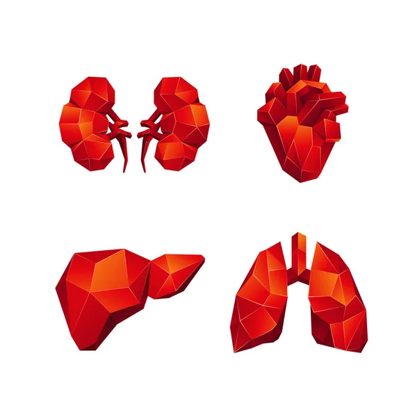Vermelho baixo poli órgãos internos humanos fixados em um fundo preto. Órgão de anatomia abstrata, como coração, pulmões, fígado e rins em estilo polígono 3D . —  Vetores de Stock
