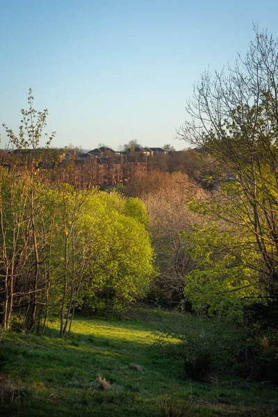 Vacker Vårkvällsutsikt Över Glasgow Från Lummig Park Södra Sidan — Stockfoto