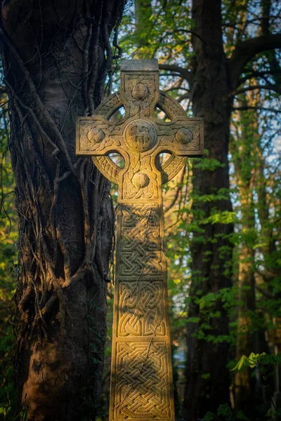 Zonlicht Een Traditioneel Keltisch Kruis Grafsteen Een Kalme Overgroeide Begraafplaats — Stockfoto