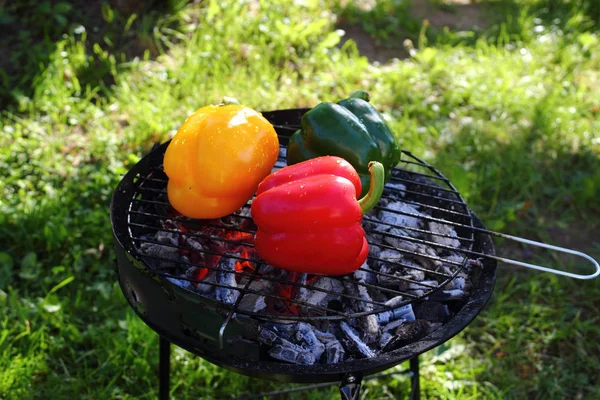 Grillpaprika Barbecue — Stockfoto