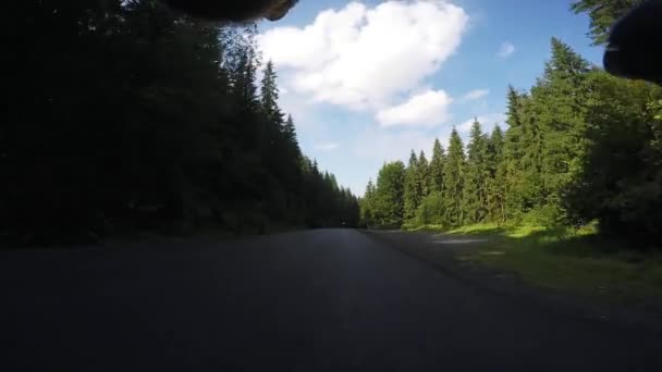 POV, Original point of view. Fast downhill on road bicycle in woods. Man cycling. Professional cyclist riding on bike. Cycling and triathlon concept — ストック動画