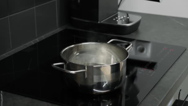 在智能厨房的感应板上,将盐水倒入锅中. 女性或男性在水中加盐。 关闭侧面视图添加香料。 烹调概念 — 图库视频影像