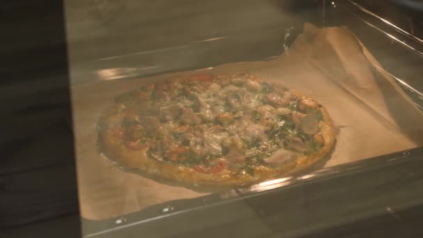 Şef fırının kapısını açıyor ve pizzanın hazır olup olmadığını kontrol ediyor. Fırında pizza, yan görüş. Kadın fırından pizza alıyor. — Stok video