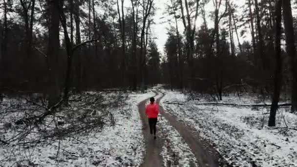 Een vrouw die in het park rent. Professionele vrouwelijke atleet in oranje jas joggen in de winter bos. Loopbaanconcept — Stockvideo