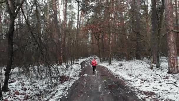 Женщина бежит в лесу. Мотивированная концентрированная молодая женщина бегает в зимнем парке. Профессиональный спортсмен напряженно бегает утром. Девушка делает ежедневные тренировки для потери веса — стоковое видео