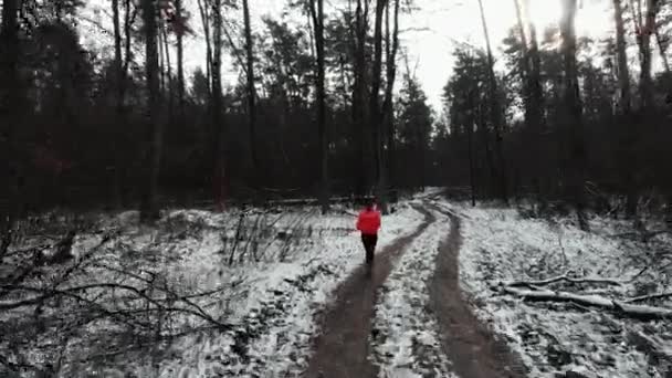 Samica biegnie w lesie. Młoda zmotywowana kobieta w pomarańczowej kurtce biegająca po zimowym parku. Odpowiednio skoncentrowany sportowiec to ciężki trening rano. Kobieta intensywny trening w parku — Wideo stockowe