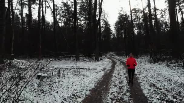 Bieganie kobiet w parku zimowym. Młoda piękna kobieta biegająca w lesie. Profesjonalny sportowiec robi trening na świeżym powietrzu rano. Dziewczyna intensywne bieganie do utraty wagi. Koncepcja przebiegu trasy — Wideo stockowe