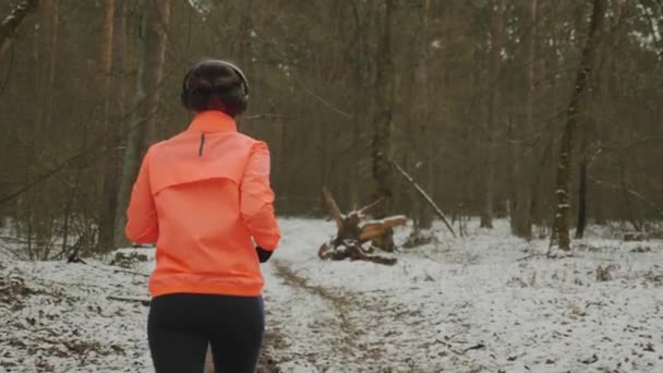 Corrida feminina na floresta de inverno. Jovem correndo no parque para perder peso. Treinamento intenso menina em floresta isolada. Mulher de treinamento duro como exercícios diários para perda de peso. Conceito de corrida de trilha — Vídeo de Stock