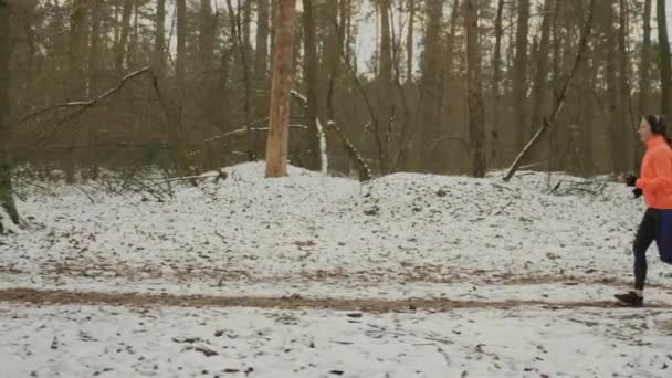 Meisje rent in het park. Zijaanzicht volgen van vrouw joggen in het winterbos. Fit gerichte vrouwelijke atleet voor te bereiden op de marathon in het laagseizoen. Vrouw loopt en doet dagelijkse outdoor workouts. Loopconcept — Stockvideo