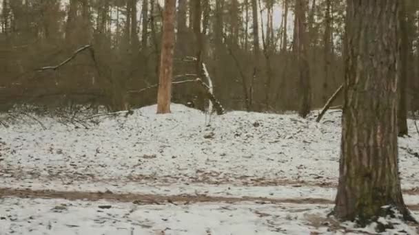 Een vrouw die in het park rent. Jonge blanke vrouw in oranje jasje joggen in het winterbos. Meisje intensieve training en het doen van dagelijkse trainingen. Professionele atleet voor te bereiden op trail run kampioenschap race — Stockvideo