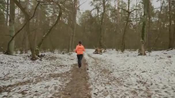 Mujer entrenando en el parque. Atleta femenina con confianza en las leggins azules y chaqueta naranja corriendo en el bosque de invierno, lado posterior seguir la vista. Chica corriendo al aire libre. Mujer haciendo entrenamientos intensos para bajar de peso — Vídeo de stock