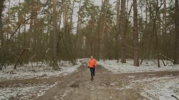 Vrouw hard trainen buiten. Professionele vrouwelijke atleet intensief hardlopen en voor te bereiden op de marathon. Meisje aan het joggen in winterpark. Een vrouw die fitness oefeningen doet in het bos. Trailrun-concept — Stockvideo