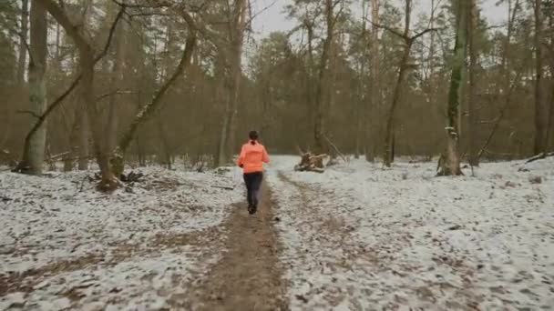 Sportowiec biegający w zimowym parku. Kobieta intensywny jogging w lesie. Profesjonalna biegaczka ciężko trenuje i przygotowuje się do półmaratonu. Kobieta codziennie ćwiczy na świeżym powietrzu. Koncepcja przebiegu trasy — Wideo stockowe