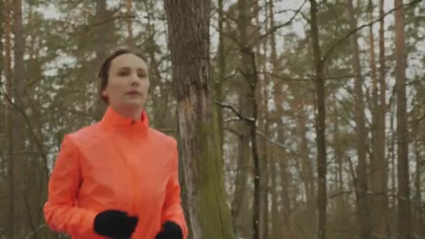 Une femme court dans le parc. Jeune femme confiante faisant du jogging en forêt hors saison. Athlète motivé professionnel course intense et entraînement dur en plein air. Concentré concentré fille faire des exercices d'entraînement — Video