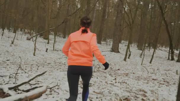 La mujer corre en el bosque. Joven mujer confiada en ropa deportiva trotando entre arbustos de árboles en el bosque de invierno. Mujer huyendo, el lado de atrás sigue la vista. Camino de carrera al aire libre — Vídeo de stock