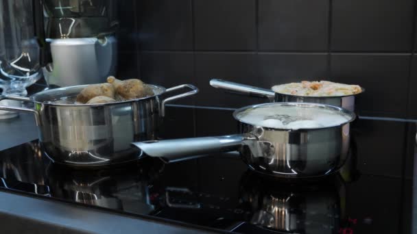 Food cooking process on induction electric stove. Process of cooking eggs, shrimps and potatoes. Vegetables are cooked in big pans on stove — Stock Video