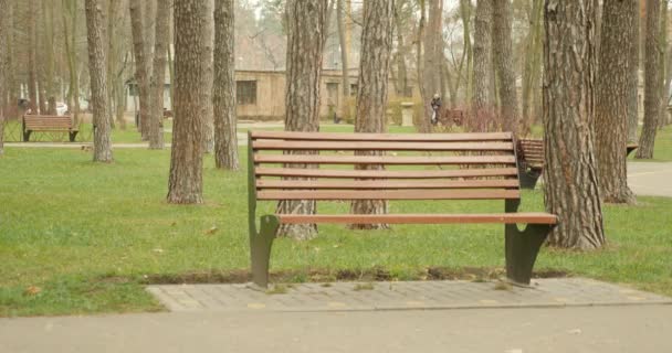 Mulher vem e senta-se em um banco no parque e começar a ler um livro vestindo trincheira e cachecol marrom. Conceito de leitura . — Vídeo de Stock