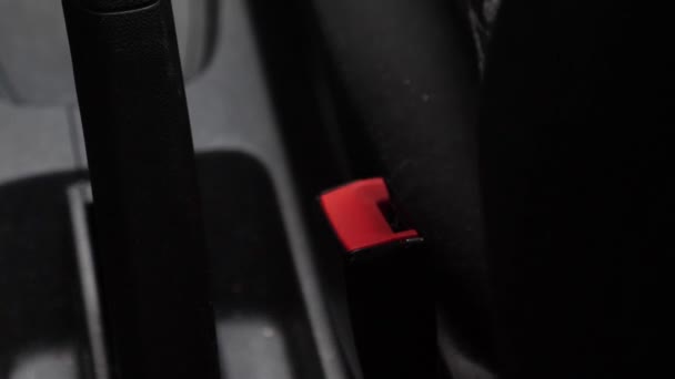 Biztonsági öv becsatolva, közelről. A személy kapcsolja be a biztonsági övet a kocsiban. A biztonsági öv részletei — Stock videók