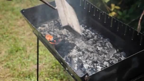 Quemando pequeñas llamas sobre carbones para barbacoa en la naturaleza. Carbón ardiendo. carbones quemados en la parrilla de la barbacoa. El carbón está empezando a arder. Carbón caliente y llama con humo — Vídeo de stock