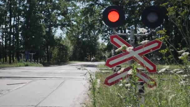Railway stop sign. Train passing through the crossing. City train rides in the countryside. Car waits until train passes through the crossing — 비디오