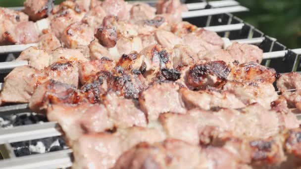Stekt kött på spett, närbild. Grillade fläskskivor på grill. Matlagat kött utomhus. Matlagningsprocess — Stockvideo
