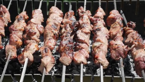 Cooking barbecue. Close up of preparing meat. Skewered meat. Outdoor barbecue. Frying raw meat — Stock Video