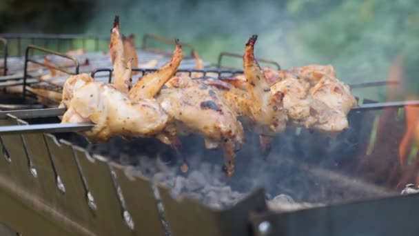 Fried chicken on charcoal grill. Cooking barbecue meat. Preparing meat in marinade outdoor. Chicken on skewer — Stock Video
