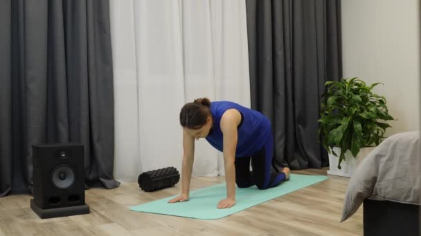 Professeur de conditionnement physique changer de pose de yoga. Jeune femme faisant des asanas de yoga sur tapis dans une pièce lumineuse. Femme exécutant vers le haut et vers le bas face position de chien. Fille étirant les muscles du corps. Concept de méditation — Video