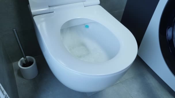 Tuvalet sifonunun yan görüntüsünü kapat. Banyodaki beyaz tuvaletin yan görüntüsü. Tuvaletin sifonundan aşağı su akıyor. Su klozete boşaldı. — Stok video