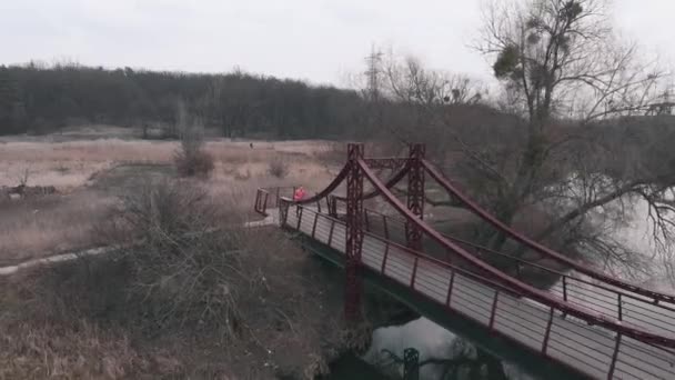 Jong meisje jogt op de brug over de rivier. Sportieve vrouwelijke atleet loopt in het park met rivier en brug, antenne drone uitzicht. Vrouw in de buurt van park met rivier — Stockvideo