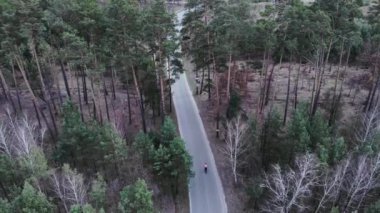 Profesyonel bisikletçi ormanda boş yolda tek başına antrenman yapıyor. Triatloncu bisiklet sürüyor ve Ironman şampiyonasına hazırlanıyor. Çam ağacı ormanında bisiklete binen insan. Spor konsepti