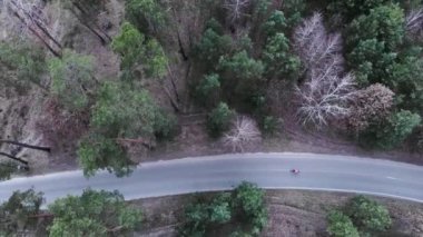 Ormandaki boş yolda tek başına giden profesyonel bisikletçinin havadan görünüşü. Motosikletli insan çam ağaçlarıyla çevrili boş araba yolunda pedal çeviriyor. Triatloncu sıkı antrenman ve yarışa hazırlanıyor