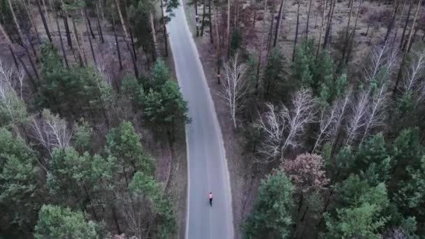 Profi kerékpáros gyorsan pedálozik közúti kerékpár az üres autó út az erdőben. Kerékpár lovas sisakban és fényes sport ruhák kemény edzés szabadtéri fenyőfákkal körülvéve. Triatlon koncepció — Stock videók