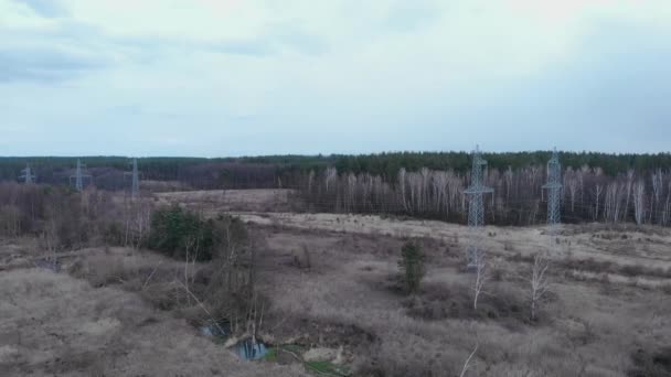 Elektriska högspänningspyloner i skogen. Sändningstorn. Elstolpar. Kraftledning och ledningar omgivna av skog. Begreppet energieffektivitet. Hållbarhetskoncept för grön energi — Stockvideo